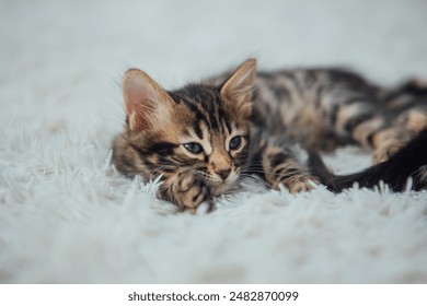 61开奖结果查询最新官方公布中奖号码