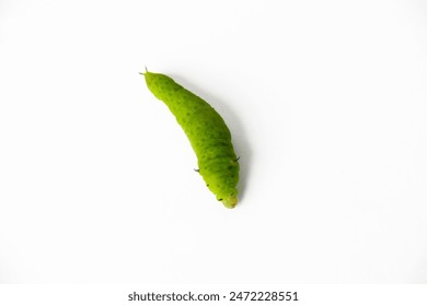 深度解析老子有钱娱乐中的明星生活与奢华消费