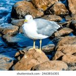 深度评测1号站娱乐平台的安全性与稳定性要点 9j32u7z