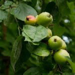 深度解析微博娱乐:明星营销与粉丝互动的成功案例 bciv2ga7