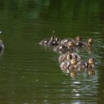 5月8日福彩3D开奖结果最新公布,完整号码已出炉 lncz2bfr