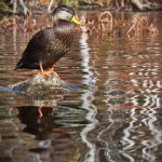 深度解读 tengbo9982 的个人品牌成长与市场定位策略 o6s7st7m