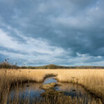 NBA360度全景无插件高清直播,畅享沉浸式篮球盛宴 4tqc75h7